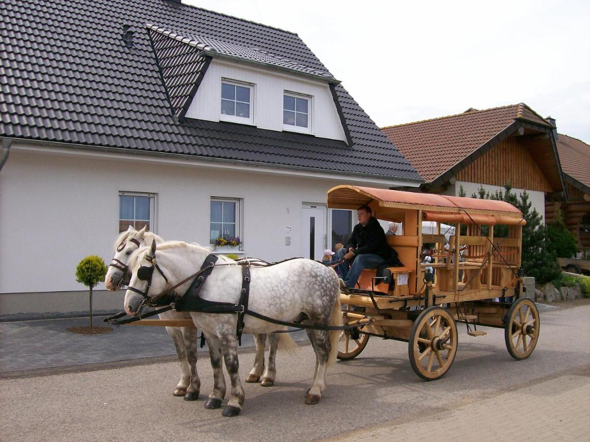 Gastehaus „Haus Am Hahnenberg“ Bed & Breakfast Marmagen Екстериор снимка